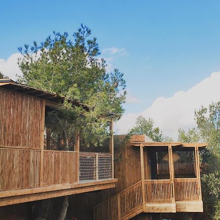 Villa Occitana Calvisson Esterno foto